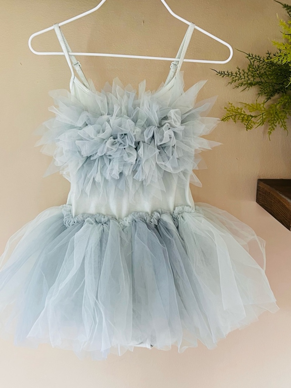 Baby Girl's Camden Park Bebe Passion
Petal Tutu Dress